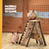 Petlicity Hamster Wooden Climbing Wall